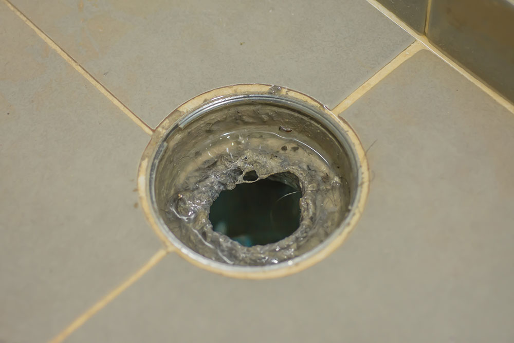 mold growth around a clogged drain