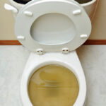 overflowing toilet in Woodstock, GA