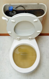 overflowing toilet in Woodstock, GA