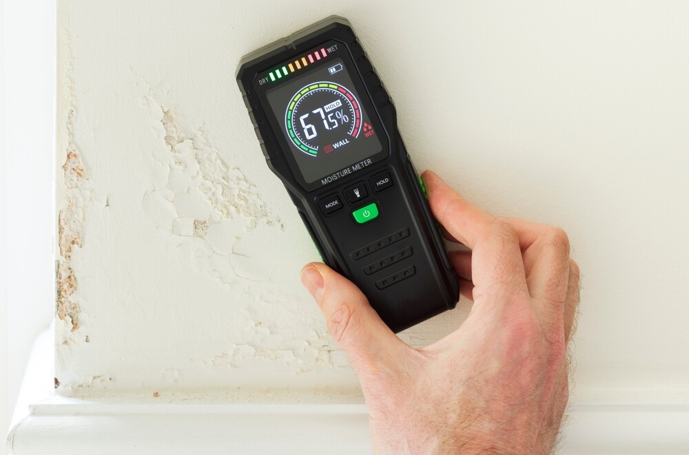 detecting hidden wall moisture
